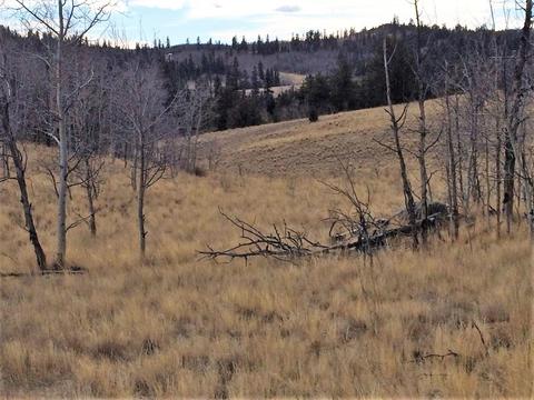 72 Warrior Ct, Como, CO 80432 photo 7