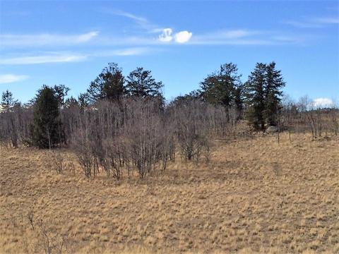 72 Warrior Ct, Como, CO 80432 photo 12