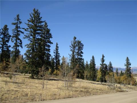 232 Arrowhead Dr, Como, CO 80432 photo 10