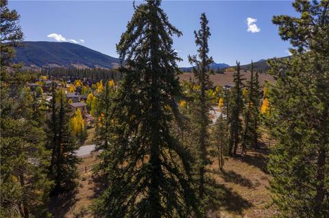 45 Canyon View Ct, Dillon, CO 80435 photo 5