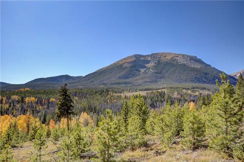 9 Eagles Nest Ct, Silverthorne, CO 80498 photo 34
