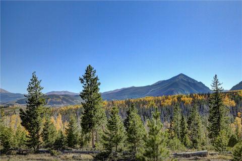 9 Eagles Nest Ct, Silverthorne, CO 80498 photo 33