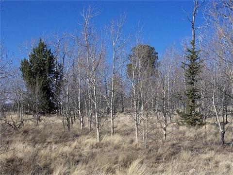 1411 Mcdowell Dr, Como, CO 80432 photo 8