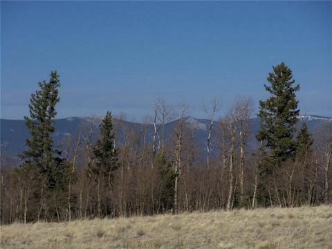 1411 Mcdowell Dr, Como, CO 80432 photo 6