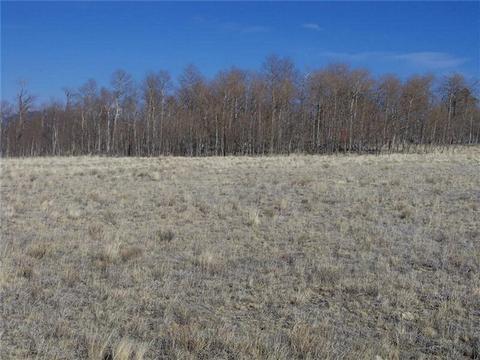 1411 Mcdowell Dr, Como, CO 80432 photo 3