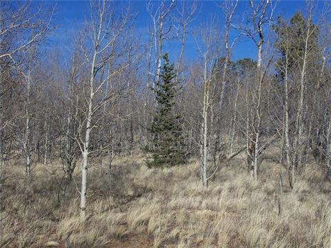 1411 Mcdowell Dr, Como, CO 80432 photo 7