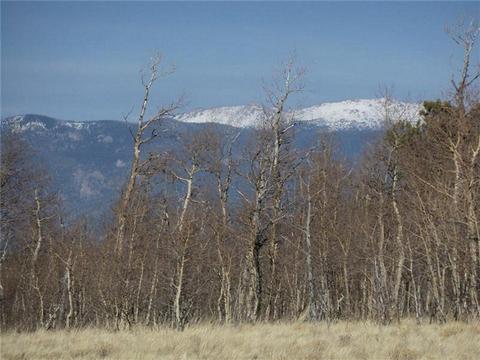 1411 Mcdowell Dr, Como, CO 80432 photo 5