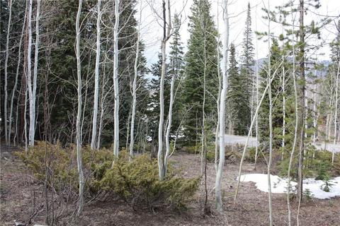 170 Easy Bend Trl, Silverthorne, CO 80498 photo 6