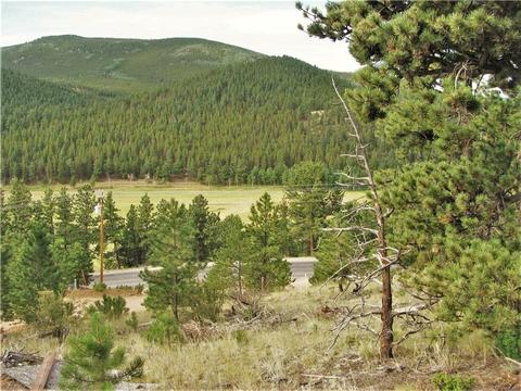 43 Vigilante Ave, Bailey, CO 80421 photo 2