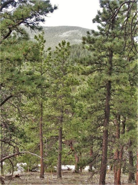 43 Vigilante Ave, Bailey, CO 80421 photo 5