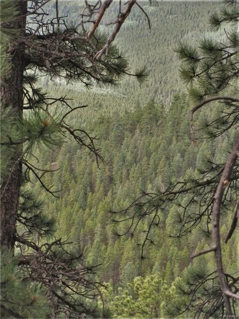 43 Vigilante Ave, Bailey, CO 80421 photo 6