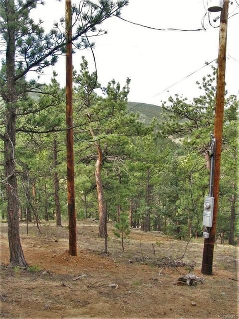 43 Vigilante Ave, Bailey, CO 80421 photo 4