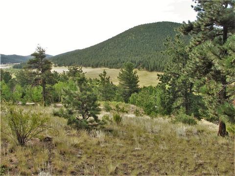 43 Vigilante Ave, Bailey, CO 80421 photo 1