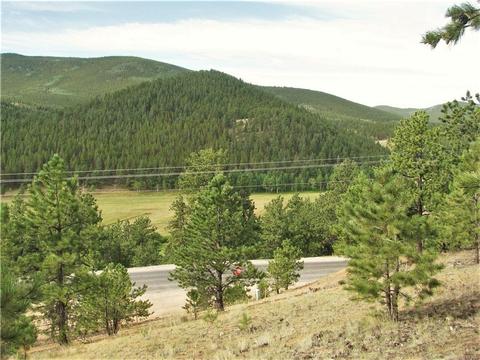 43 Vigilante Ave, Bailey, CO 80421 photo 8
