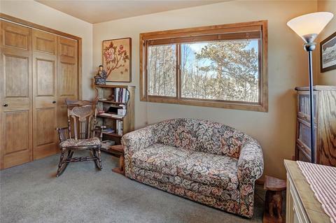 4283 Buffalo Ridge Rd, Como, CO 80432 photo 15