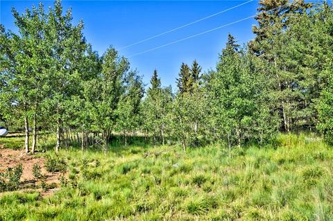 566 Piaute Way, Como, CO 80432 photo 27
