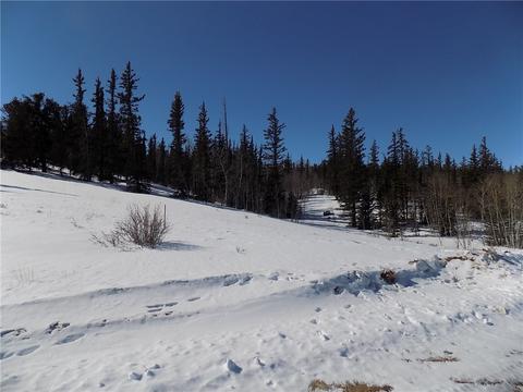 205 Long Rifle Way, Como, CO 80432 photo 6