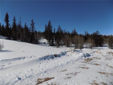 205 Long Rifle Way, Como, CO 80432 photo 7