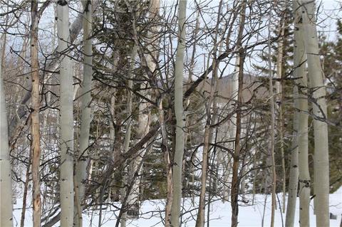 64 Rhea Rd, Como, CO 80432 photo 4