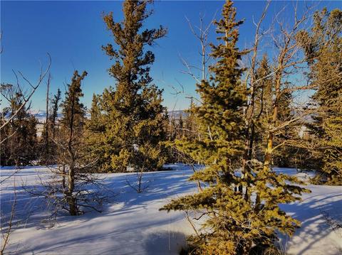 311 Gitche Goone Ln, Como, CO 80432 photo 5