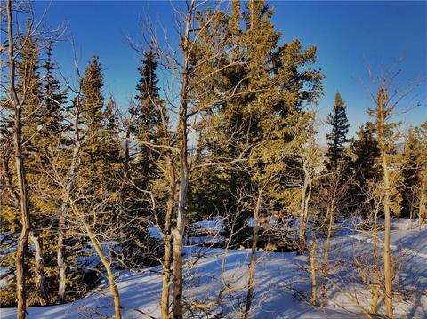 311 Gitche Goone Ln, Como, CO 80432 photo 6