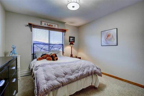 44 Sage View Ct, Dillon, CO 80435 photo 25