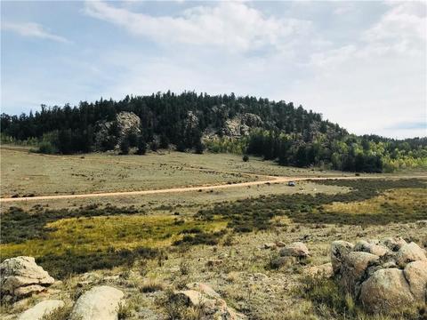 1441 Longbow Dr, Como, CO 80432 photo 1