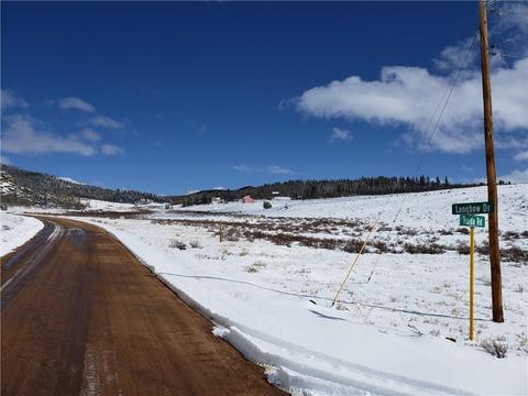1441 Longbow Dr, Como, CO 80432 photo 4