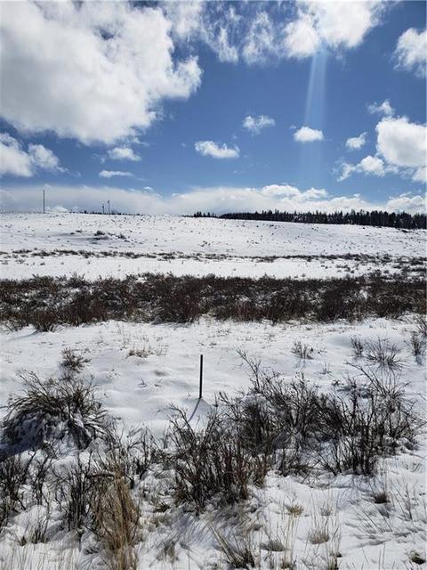 1441 Longbow Dr, Como, CO 80432 photo 9
