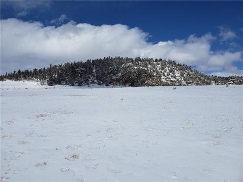1441 Longbow Dr, Como, CO 80432 photo 16