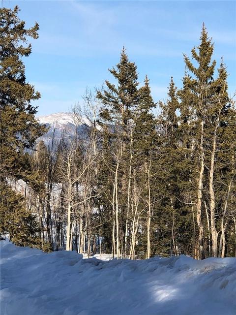 1433 Warpath Rd, Como, CO 80432 photo 3
