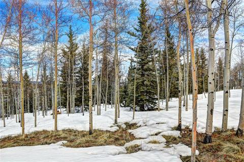 99 Mallard Rd, Como, CO 80432 photo 12