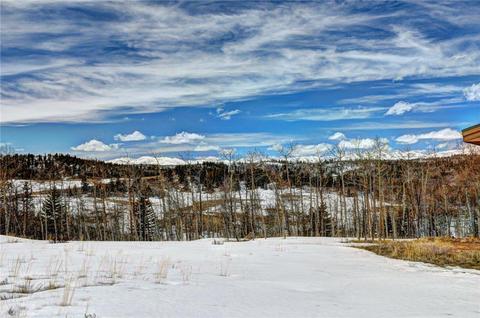 99 Mallard Rd, Como, CO 80432 photo 4