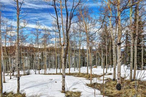 99 Mallard Rd, Como, CO 80432 photo 31