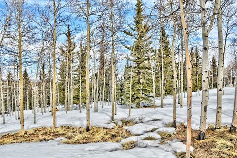 99 Mallard Rd, Como, CO 80432 photo 24