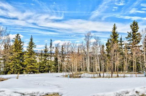 99 Mallard Rd, Como, CO 80432 photo 29