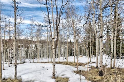 99 Mallard Rd, Como, CO 80432 photo 19