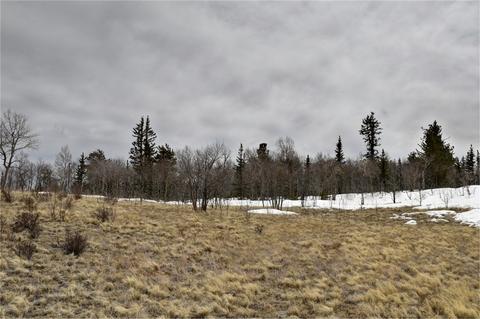200 Creedmoor Ln, Como, CO 80432 photo 7