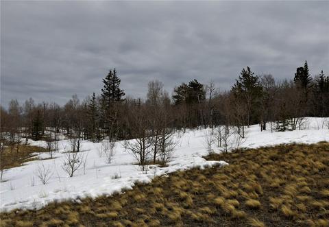 200 Creedmoor Ln, Como, CO 80432 photo 11