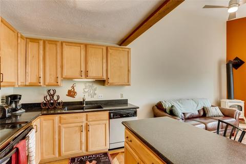 338 N Chipmunk Cir N, Silverthorne, CO 80498 photo 10