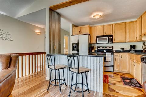338 N Chipmunk Cir N, Silverthorne, CO 80498 photo 12