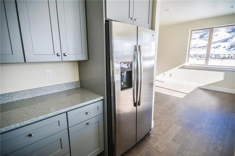 259 Haymaker St, Silverthorne, CO 80498 photo 9