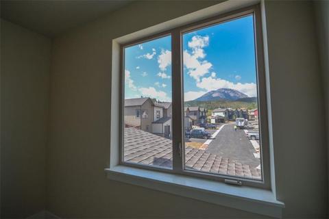 259 Haymaker St, Silverthorne, CO 80498 photo 24