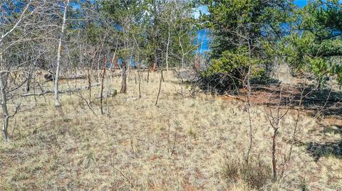 367 Swallow Rock Trl, Como, CO 80432 photo 16