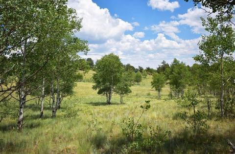 406 Bob White Cir, Como, CO 80432 photo 1