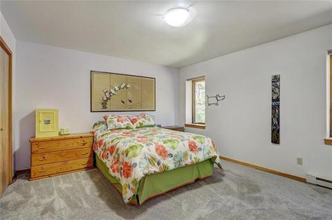 189 Hinterland Trl, Breckenridge, CO 80424 photo 19