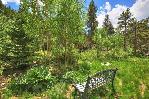 189 Hinterland Trl, Breckenridge, CO 80424 photo 3