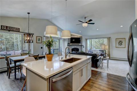 0662 Ryan Gulch Rd, Silverthorne, CO 80498 photo 8