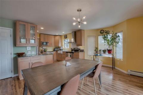321 N Chipmunk Cir, Silverthorne, CO 80498 photo 1