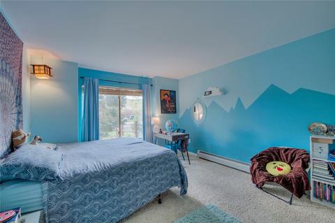 321 N Chipmunk Cir, Silverthorne, CO 80498 photo 10